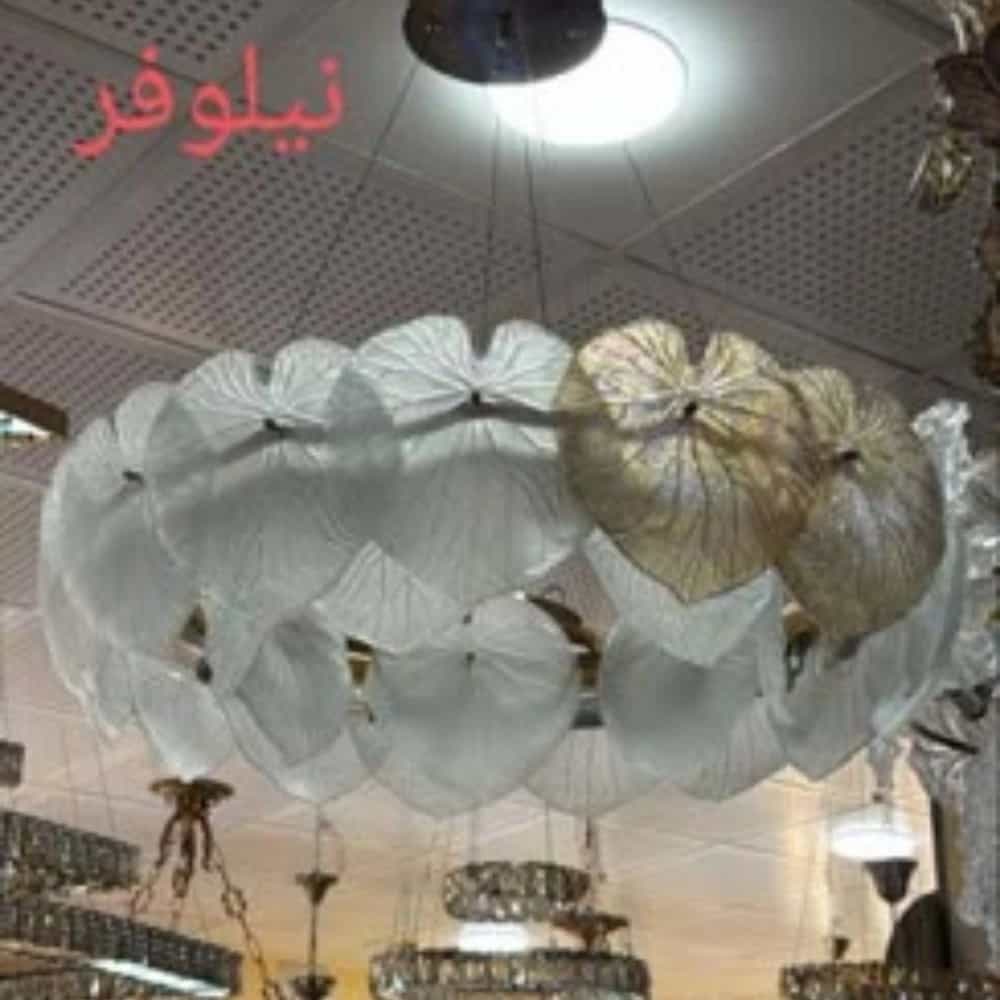 1772261116611.webp